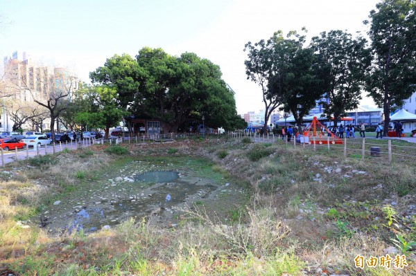 茄苳樹王棲地周邊將成為文化生態園區。（記者張菁雅攝）