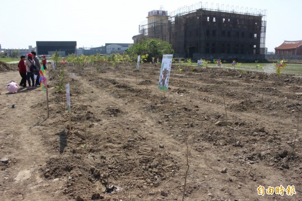 3分多地的國有地試辦推植生復育,陸續將種植14種共1900株的樹木。(記者張聰秋攝)