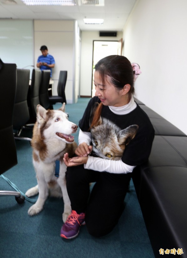 友善犬須經過動保處與專家評估。（記者黃旭磊攝）