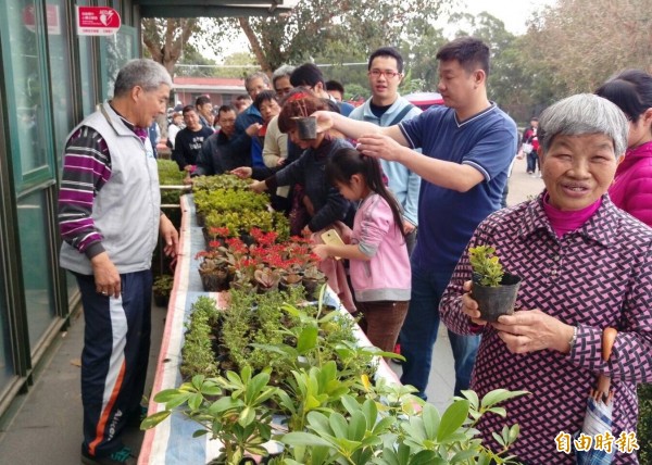 清明掃墓季到來，新竹市政府推出提前掃墓送盆栽活動，鼓勵民眾提前掃墓好處多，也能避開車潮。（記者洪美秀攝）