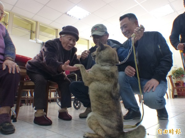 立法委員楊鎮浯（右1）、台北市陪伴犬協會理事長蔡文揮（右2）帶著陪伴犬在金門「大同之家」與長輩們同歡。（記者吳正庭攝）