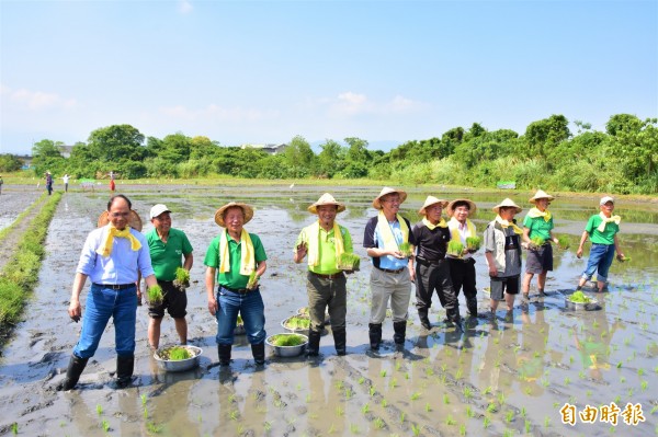 前行政院長游錫堃（左一）今出席宜蘭農田水利會活動，體驗下田插秧。（記者張議晨攝）