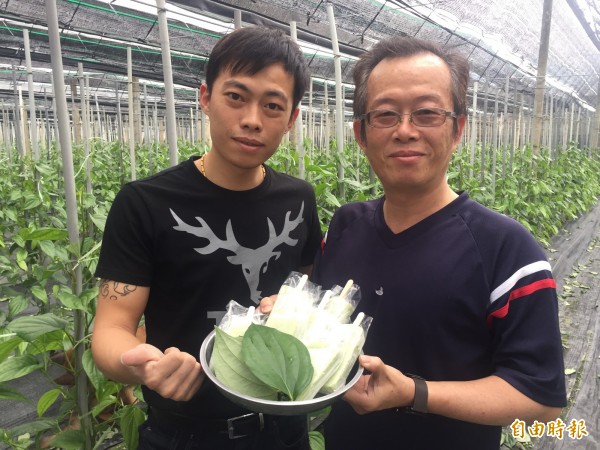 農友洪俊彬(右)、洪振偉父子研發荖葉冰棒。(記者張存薇攝)