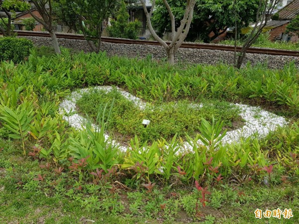 公路總局在省道台3線橫山段打造的愛心圖案景點,吸引不少情侶還拍照打卡留念。(記者蔡孟尚攝)