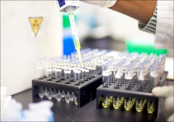 日本知名大廠「日立製作所」（Hitachi）準備展開世界首例以尿液篩檢癌症的實驗。 （檔案照，路透）