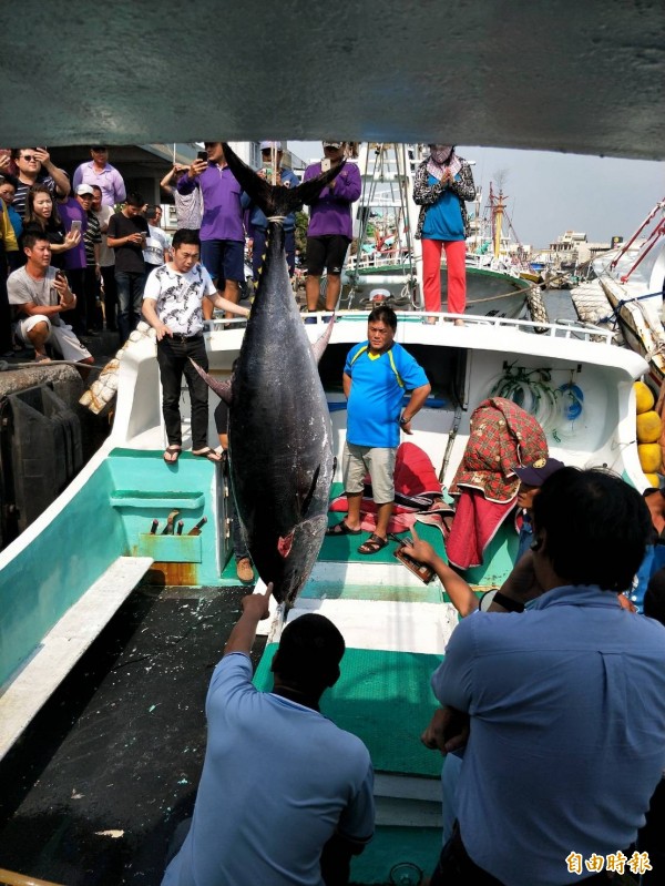 林家瑞成為全汕尾庄首位「第一鮪」船長。（記者陳彥廷攝）