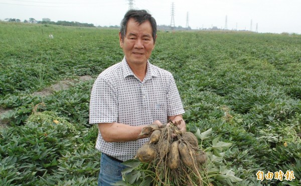 屏東縣農權會理事長盧同恊也登記參選下屆民進黨屏東縣黨部主委，外界形容是一場萬丹內戰。（記者李立法攝）