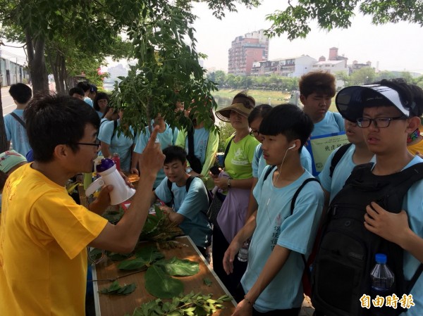 觀察綠道植物認識自己生活周遭的植物生態。（記者蔡文居攝）