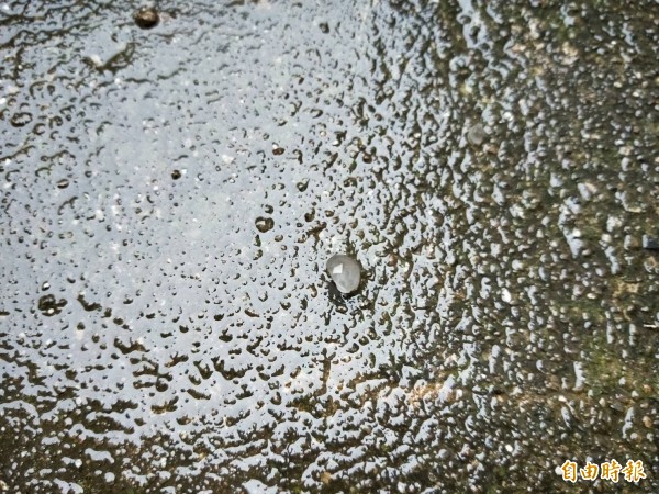 雲林古坑草嶺石壁地區今天下午下冰雹。（記者黃淑莉攝）