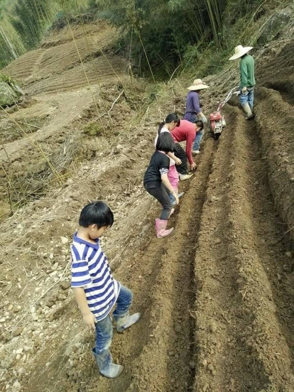 新北市民陳連庫（右1）曾是天道盟大哥，從良後與妻兒、原住民（見圖）到桃園市復興區開墾農場種薑，合法申請水保獲准的他，近來恐遭桃園市政府要求停工，他借來投入的300萬都將血本無歸。（記者吳仁捷翻攝）