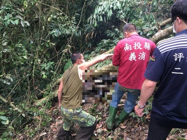 老農巡筍園整地，疑似鋸樹不慎遭壓死。（記者劉濱銓翻攝）