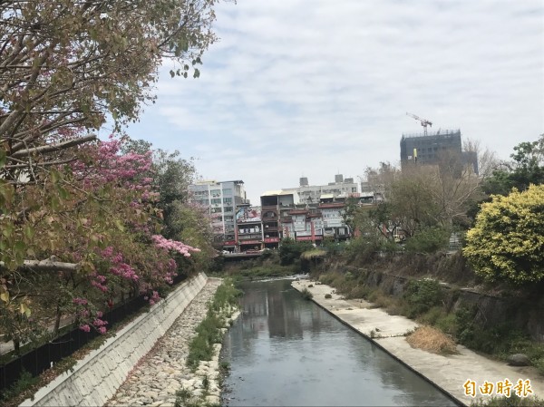 郭清華指出,竹溪每天6萬噸的民生廢水,是整治安平運河的盲點。(資料照)