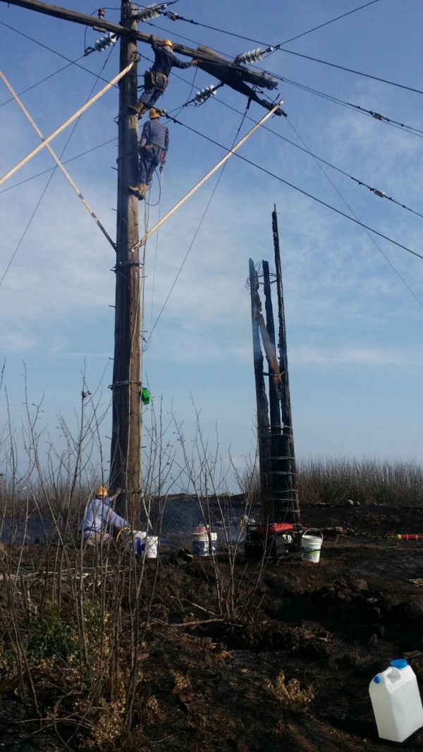 將軍電塔旁的電線桿，受到野火襲擊。（許賢德提供）