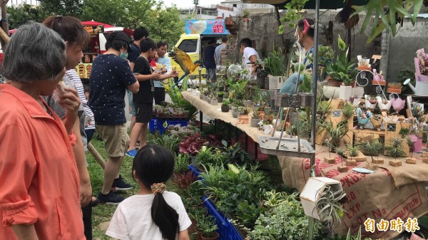 「花鳥圖」讓多肉植物顯得很不一樣，來客踴躍停下腳步欣賞。（記者黃美珠攝）