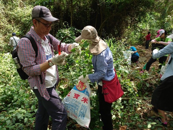 參與活動的民眾以鐮刀等清除外來入侵植物。（農業局提供）