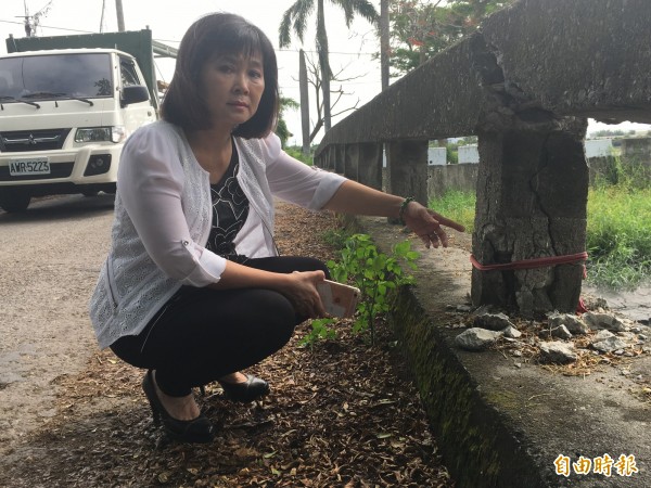 橋面護欄鋼筋裸露。（記者顏宏駿攝）