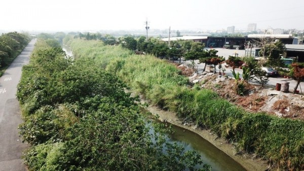 二林溪河岸道路被雜草佔領，路寬縮水大半。（圖由縣議員謝彥慧提供）