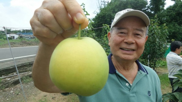 施昭彰與農民合作在恆春種出水梨，民眾驚嘆香甜可口。（記者蔡宗憲翻攝）