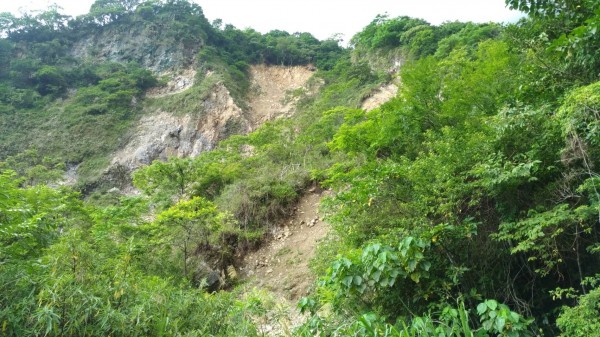 花蓮市佐昌步道上方山區因震後崩塌，大面積黃土碎石裸露在翠綠植披間的景象，一度令當地居民憂心忡忡。（記者王峻祺翻攝）