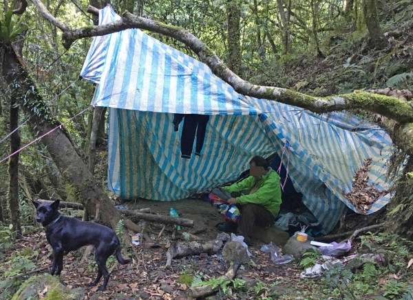 邱姓男子跟愛犬「蜜雪兒」在新竹縣尖石鄉山區受困，1人1犬就靠1包花生撐7天獲救。（圖由新竹縣政府提供）