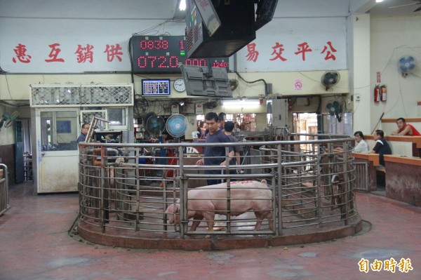 豬肉市場價格回穩,彰化肉品市場拍賣價格連續4日來到每公斤70元以上。(記者陳冠備攝)