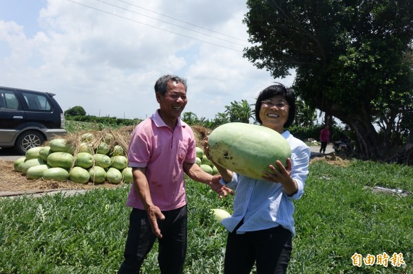 西瓜上市了!彰化縣福興鄉代表陳秀玲(圖右),來到三和村瓜農歐文旭(圖左)田間,抱起大西瓜。(記者劉曉欣攝)