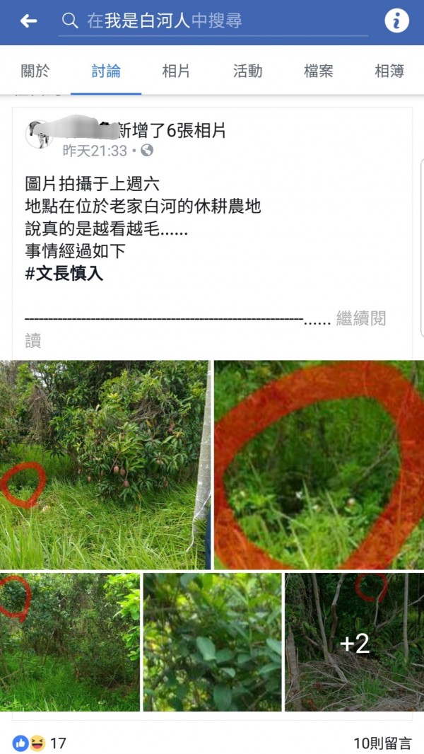 有民眾稱上週回老家白河拍攝休耕農地照片後,整個人覺得昏沉,放大照片後好像「拍到不該拍的」。在臉書貼文後,網友紛紛釋疑,回應相當幽默。(記者王涵平翻攝)