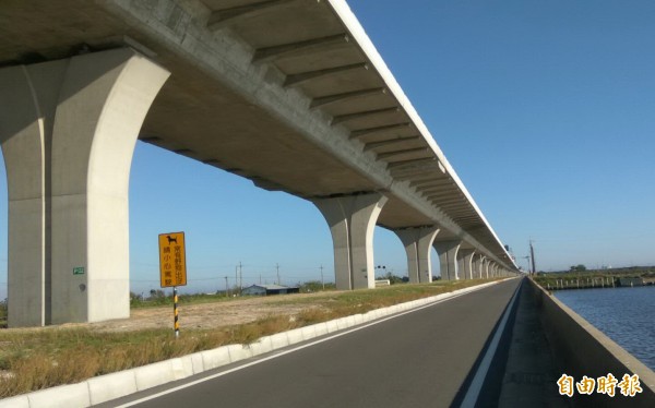 台61線台南七股三股段173甲線道路，常有流浪犬出現，用路人要注意。（記者楊金城攝）