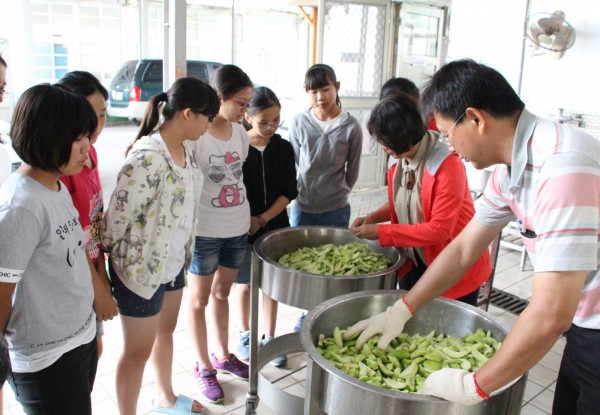 學生們在老師教導下製作芒果青。（記者陳冠備翻攝）