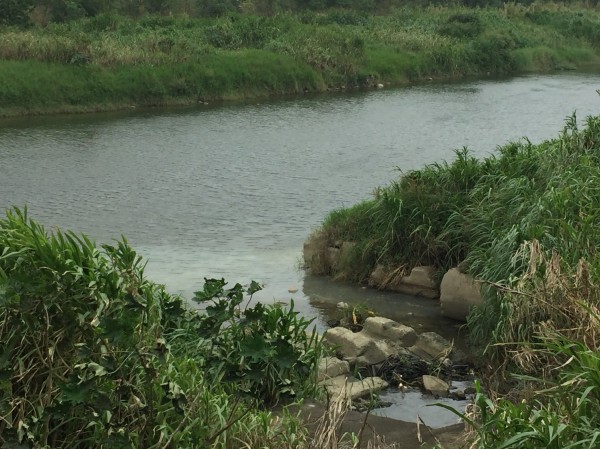 新竹縣鳳山溪每逢雨季容易溪水暴漲、水流湍急。（記者廖雪茹翻攝）
