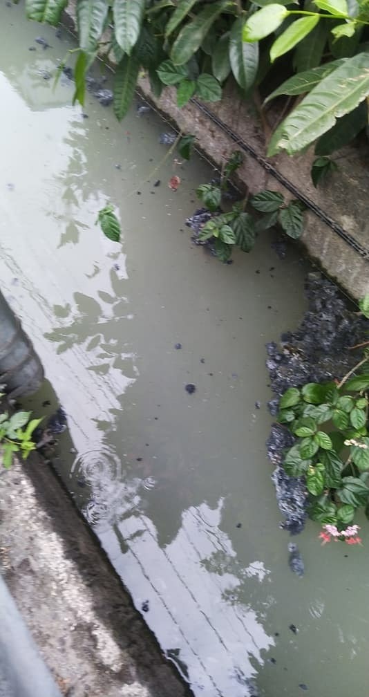 竹南鎮國泰路旁水溝疑遭排放污水,整條溝渠變灰白色,還飄散黑色物質。(記者鄭名翔翻攝)