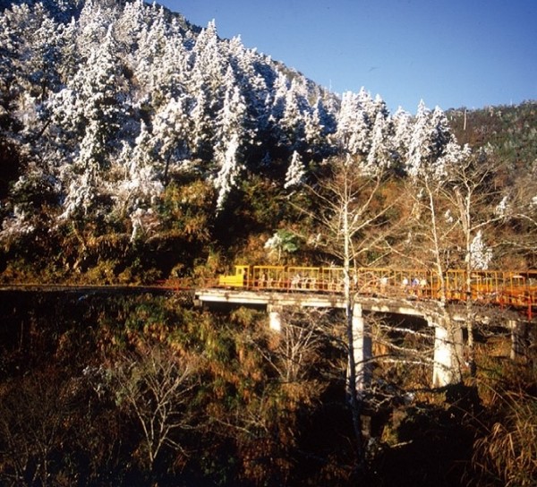蹦蹦車沿線霧淞等美景。(羅東林管處提供)