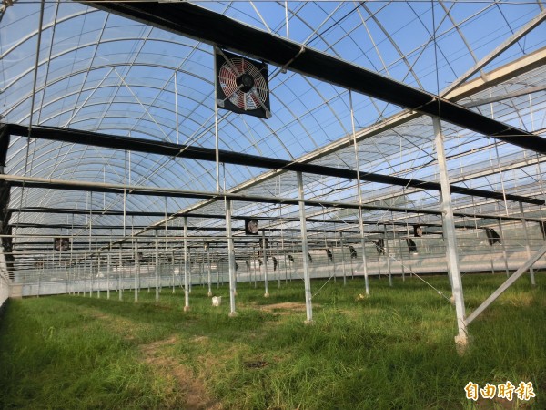 高雄市農業局全國首創聘請專業督工,協助農民搭建抗颱溫室。(記者陳文嬋攝)