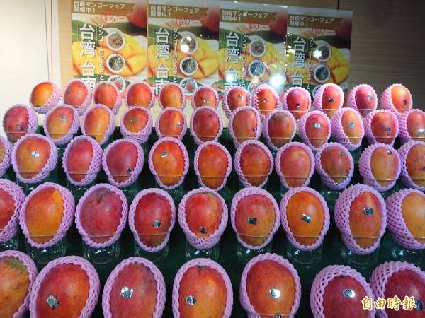 台南優質芒果直銷日本,打進日本消費市場。(記者洪瑞琴攝)