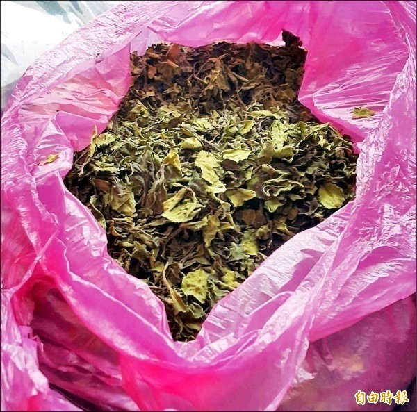 「恰特草」有「東非罌粟」之稱,乾燥後像茶葉,民眾不易分辨。(資料照)