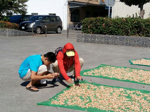 宜蘭縣南安國小今年獲得旅美台胞的捐款,校方開辦暑期攝影課,讓學童用相機為家鄉寫紀錄。(記者張議晨翻攝)