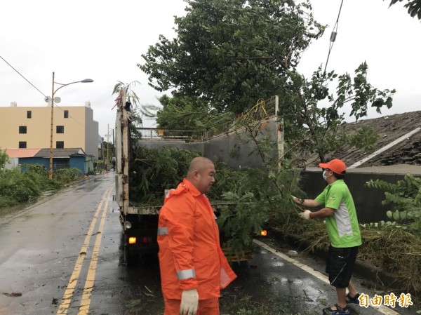 清潔隊人員一早就忙著清理堤防道路倒下來的路樹。（記者廖淑玲攝）