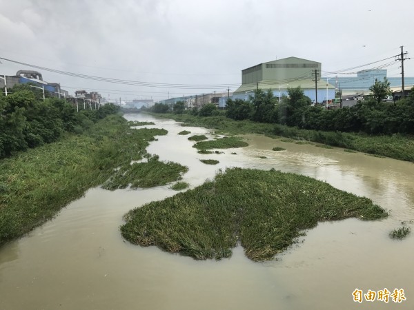 鹽水港溪大水退去，可見雜草叢生。（記者洪臣宏攝）