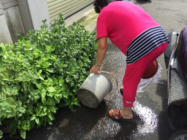 台中本週未展開滅蚊大作戰，清除家內外積水容器。（記者蔡淑媛翻攝）