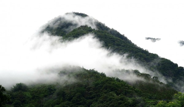 信義鄉山區近期經常下雨，雨後山巒雲霧繚繞，便成了一幅自然的潑墨山水畫，信義鄉民眾則說，這就是山上的日常。（呂秋明提供）