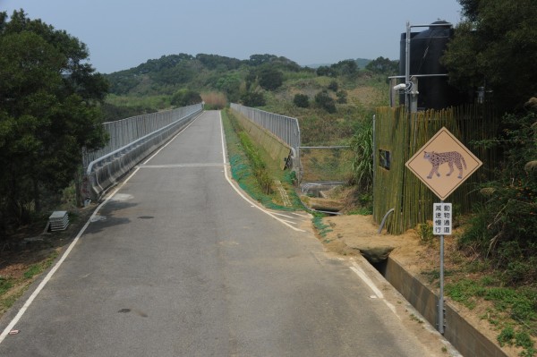 保育廊道護石虎安全通行  高公局中區養護工程分局獲金路獎。（圖：高公局提供）