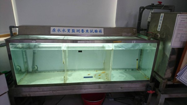 自來水進行原水養魚，監測水質。（記者蔡淑媛翻攝）