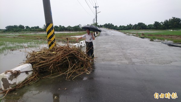 柳營篤農里長陳献堂指著南81線龜重溪橋段地勢最低處的雜草堆，可見水位有多深。（記者楊金城攝）