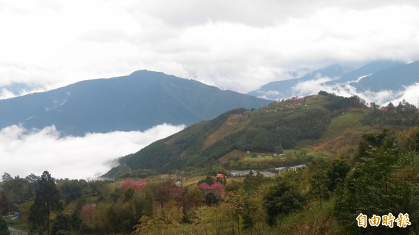 新竹縣五峰鄉桃山村的泰雅族部落群山環抱，清泉、白蘭部落串聯資源，預計9月12、13日推出兩天一夜的生態小旅行，邀請都市朋友一起來看山！ （記者廖雪茹攝）