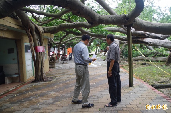 劉厝萬靈廟副主委盧添炭（右）向市建設處副處長蔡宗穎（左）陳情，樹幹壓到廟、廟旁休憩空間屋頂，希望能先修剪樹幹、樹枝，讓廟方好進行修復工程。（記者王善嬿攝）