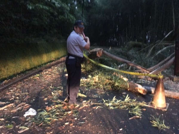 警民合作清除大樹枝葉，先清出一側車道，供部落居民通行。（記者彭健禮翻攝）