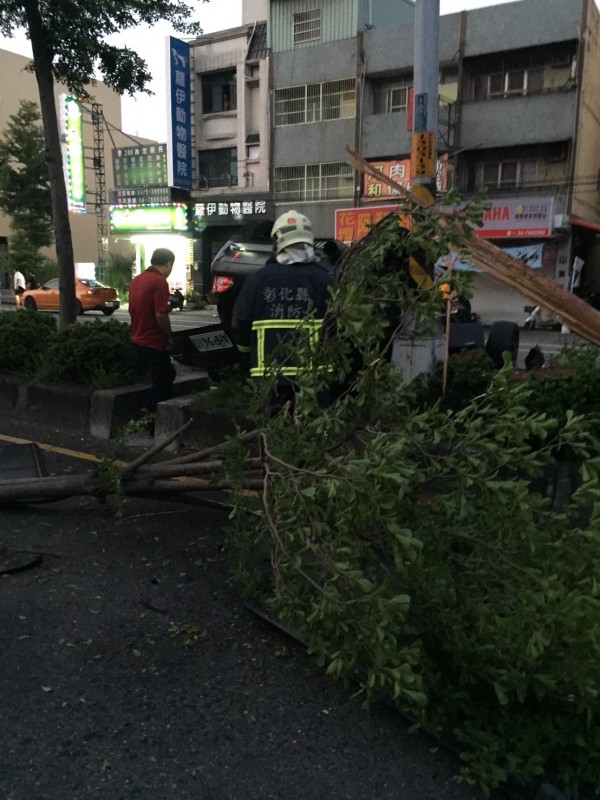 轎車撞斷路樹後翻覆，撞成廢鐵，消防員將陳姓駕駛救出送醫急救。（記者湯世名翻攝）