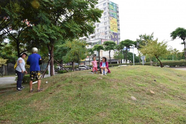 創作團隊上網協尋，希望不翼而飛的「飛羽」可以飛回到原來這片小土丘上。（記者李容萍攝）