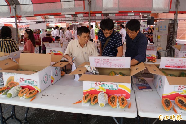 林內農會舉辦木瓜品質比賽，雖遇水患，但木瓜品質還是相當不錯。（記者詹士弘攝）