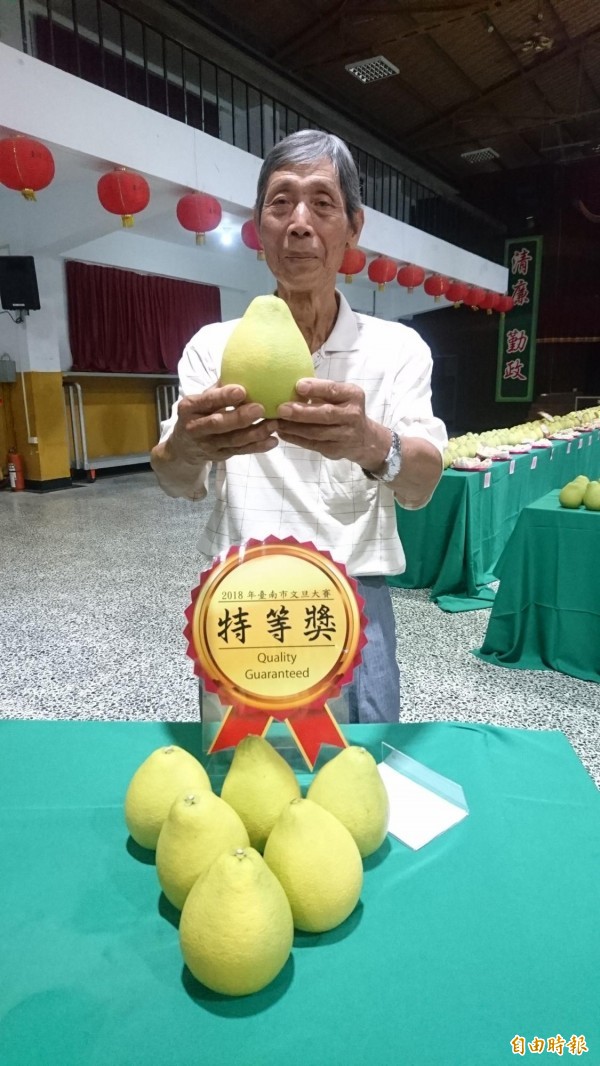 下營柚農陳清田勇奪台南文旦大賽特等獎，獲得台南「文旦王」殊榮。（記者楊金城攝）